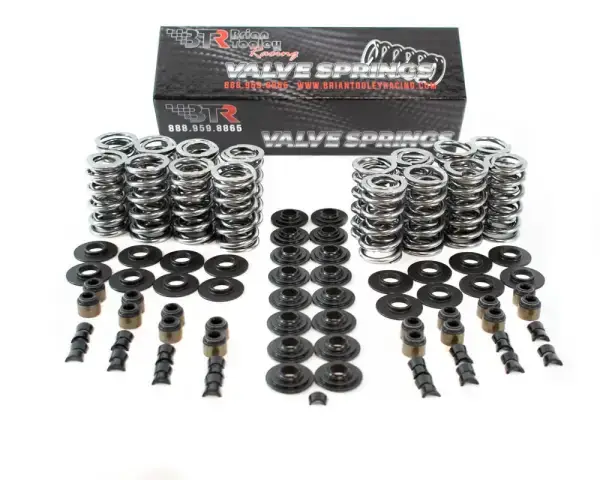 BTR Platinum LS9 .660 Lift Dual Valve Spring Kit