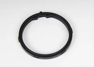 GM Thermostat Seal
