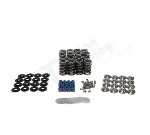 BTR Platinum LT1 .660 Lift Dual Valve Spring Kit