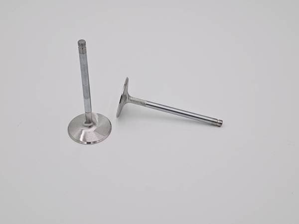 LS2 Replacement Intake Valve - Individual