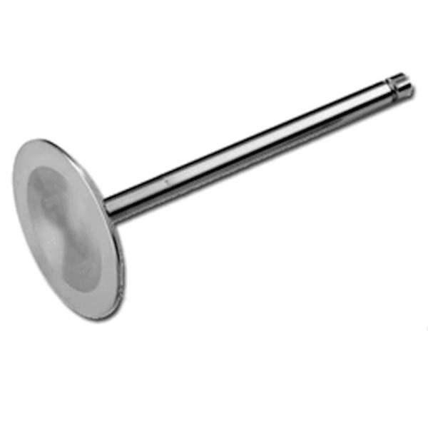 GM Genuine Parts L92 Intake Valve