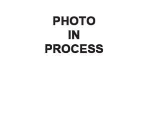 Custom Logo Engraving Setup Fee For LT Cylinder Heads